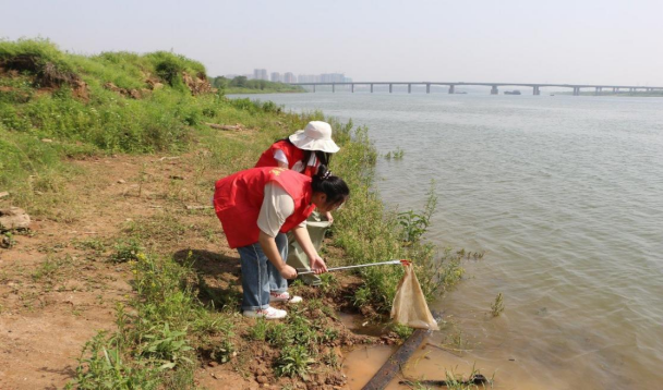 e4c37056693e44c7870e4ad3535ab00c.png e4c37056693e44c7870e4ad3535ab00c.png